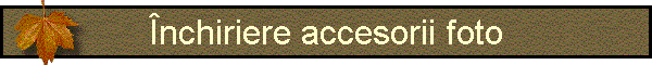 nchiriere accesorii foto