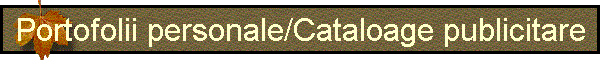 Portofolii personale/Cataloage publicitare