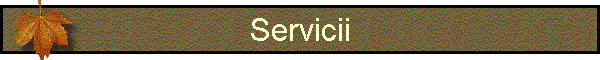 Servicii